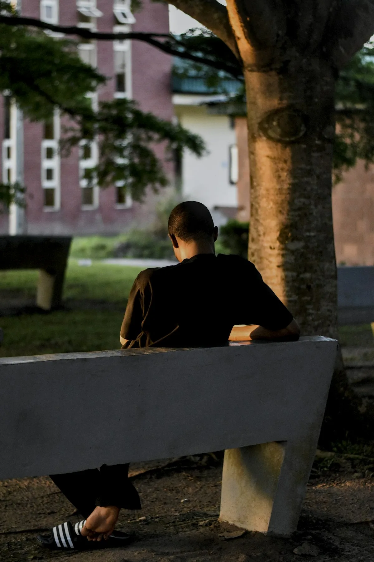 Someone sitting alone on a bench in the golden evening light.