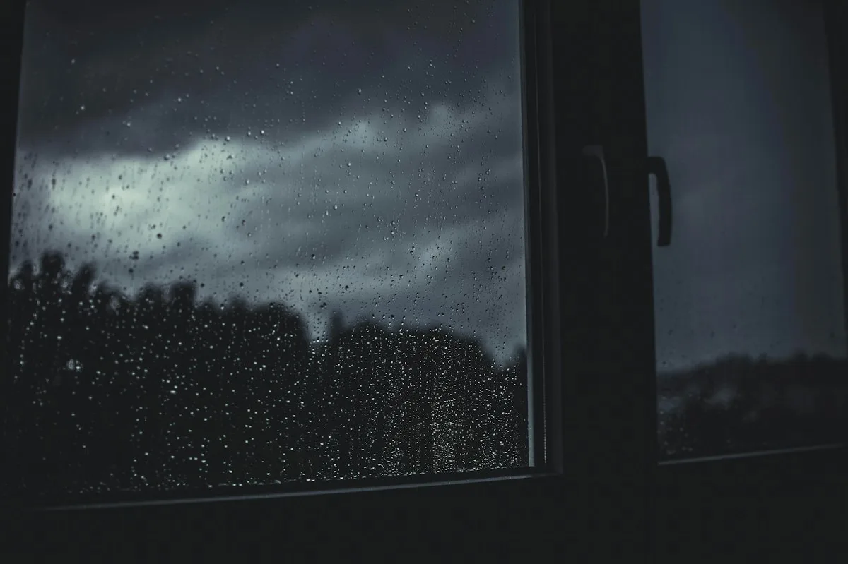 Raindrops on a window.